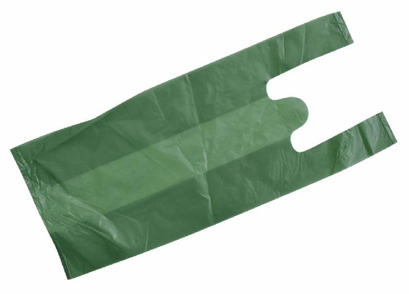 Imagem ilustrativa de Sacola reciclada verde