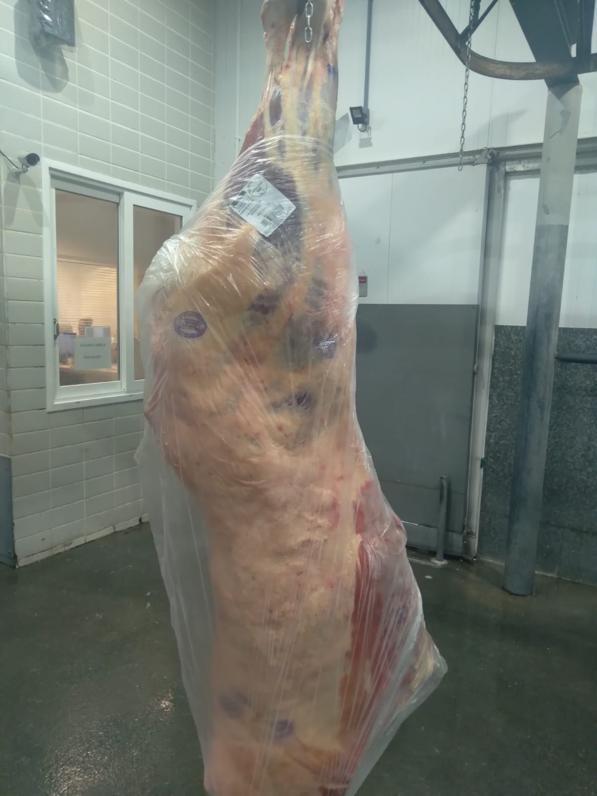 Sacos ou bobinas PEAD linha carcaça — foto 2